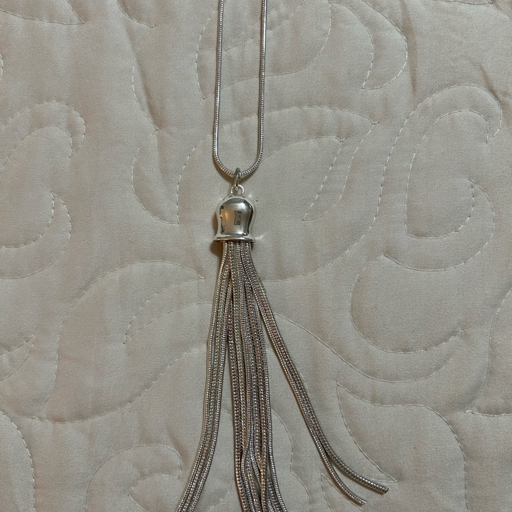 Shimmering Silver Tassel Necklace